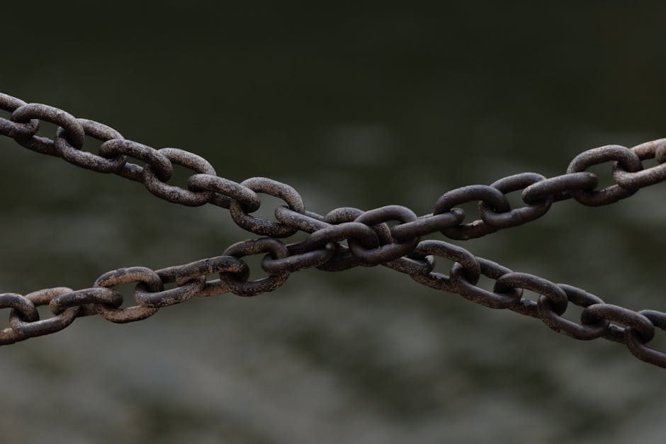 8 Top Link Building Agencies in London (2025)